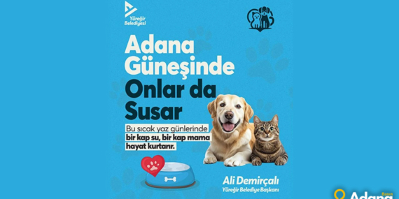 “Kapınıza Su ve Mama Koyun: Yüreğir Belediyesi’nden Duyarlı Mesaj”
