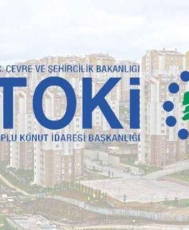 toki-1.jpg