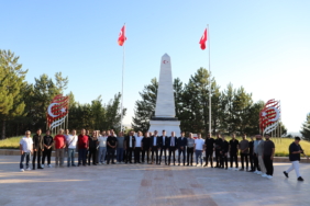 6a7dd6566b334_anttoplufoto